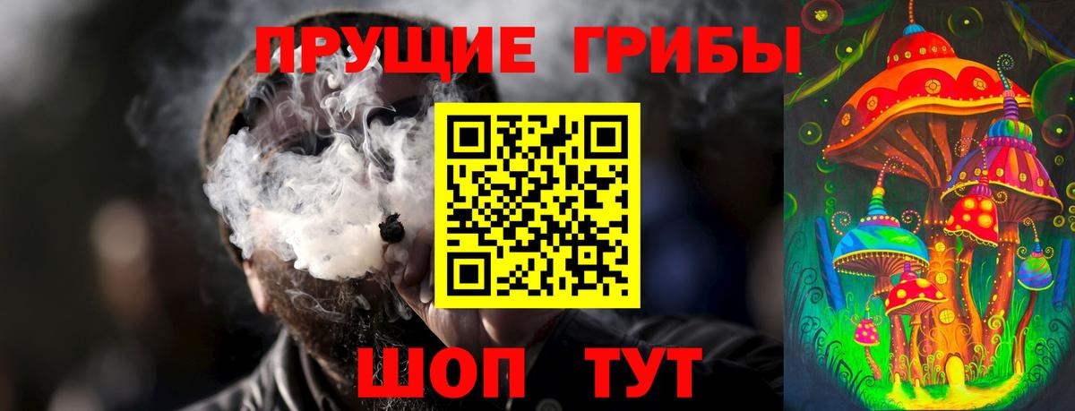 Галлюциногенные грибы Psilocybine cubensis Волхов